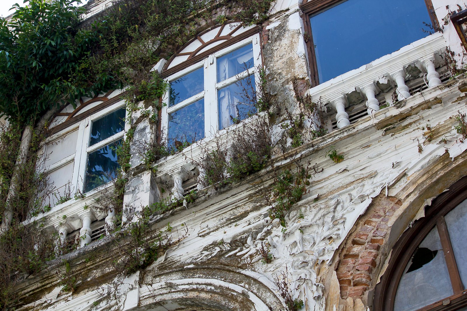 Façade maison ancienne Armentières Nord dégradation fissures humidité algues ravalement nécessaire artisan diagnostic rénovation extérieure 59280