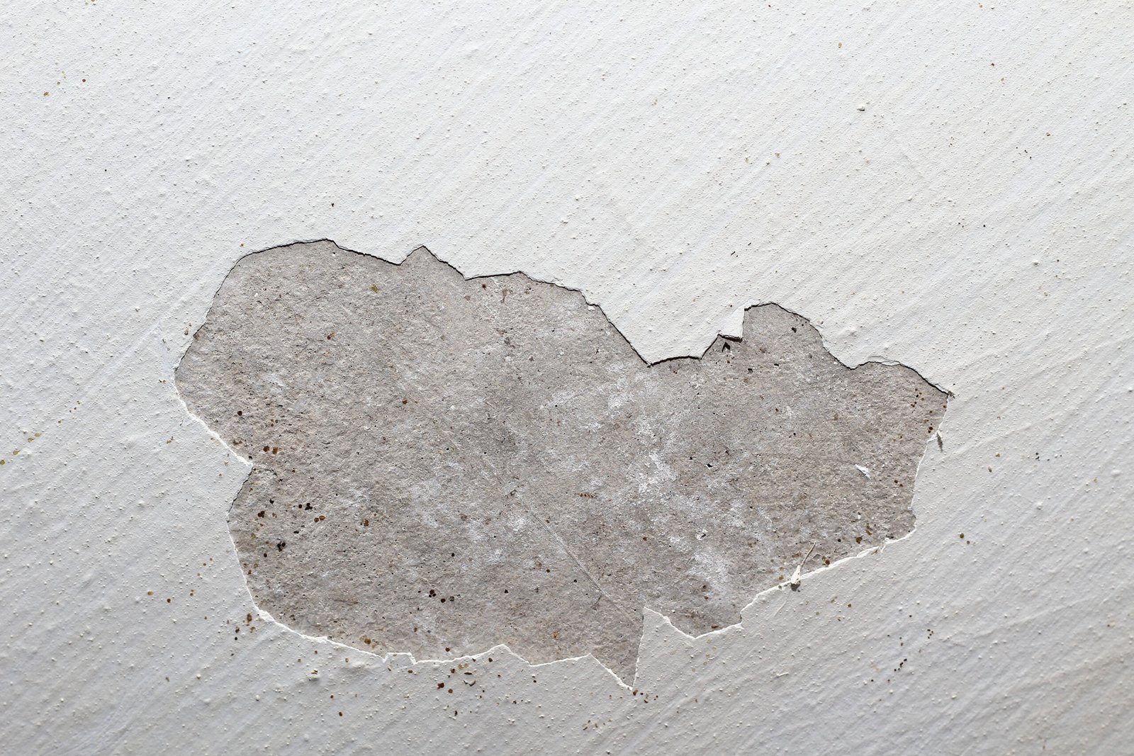 Plafond ancien fissuré taché maison Armentières Nord avant faux plafond artisan PDN Renov rénovation placo 59280 Hauts-de-France travaux intérieurs