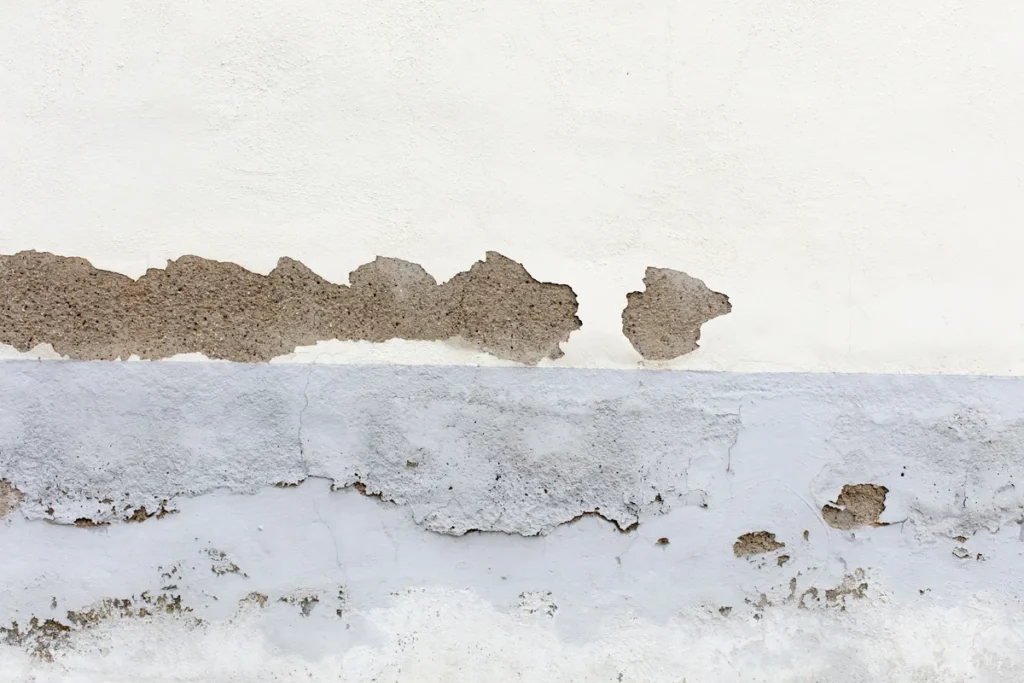 Peinture qui cloque et s'écaille sur un mur humide, erreur de peindre sans traitement constatée à Armentières (Nord)